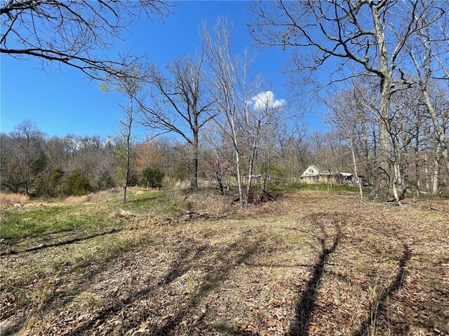18995 Skylight Mountain Rd, Canehill, AR 72717 - view of local wilderness