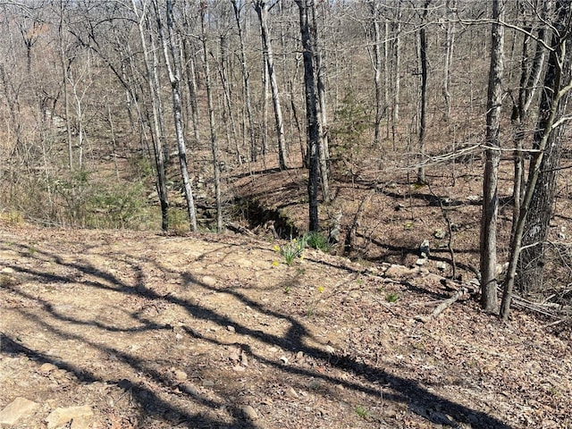 18995 Skylight Mountain Rd, Canehill, AR 72717 - view of local wilderness