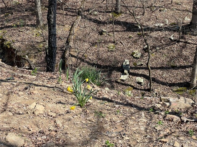 18995 Skylight Mountain Rd, Canehill, AR 72717 - view of local wilderness