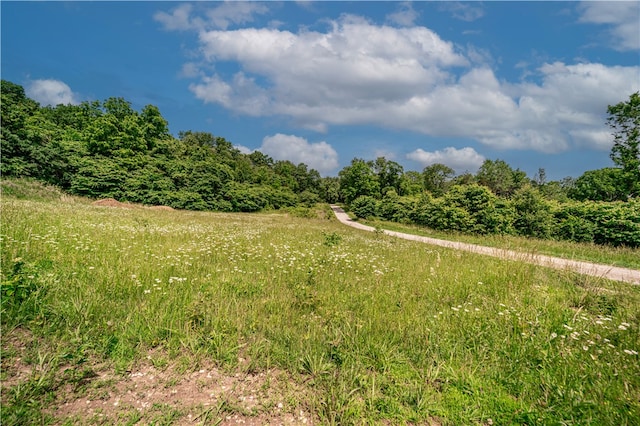 view of local wilderness