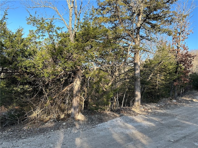 Listing photo 3 for LOT5 Tomahawk Ln, Garfield AR 72732