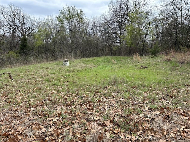 Listing photo 3 for TBD Mortensen Rd, Lincoln AR 72744