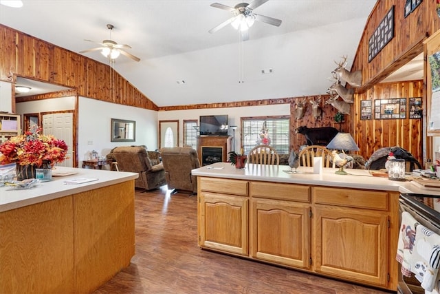 kitchen with stainless steel electric range, dark hardwood / wood-style floors, ceiling fan, and vaulted ceiling