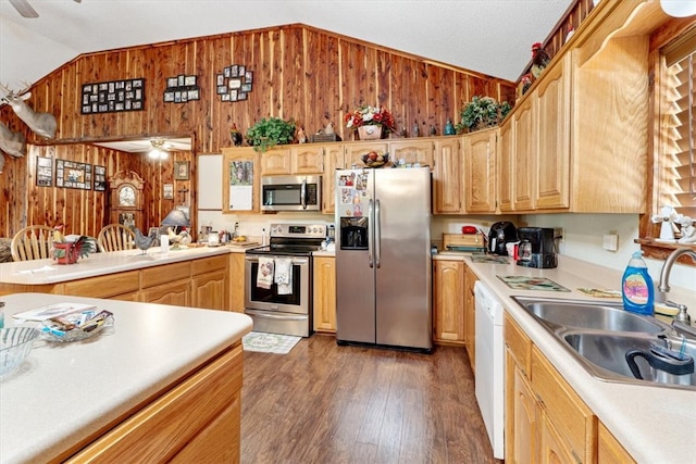 kitchen with dark wood-type flooring, stainless steel appliances, ceiling fan, lofted ceiling, and sink