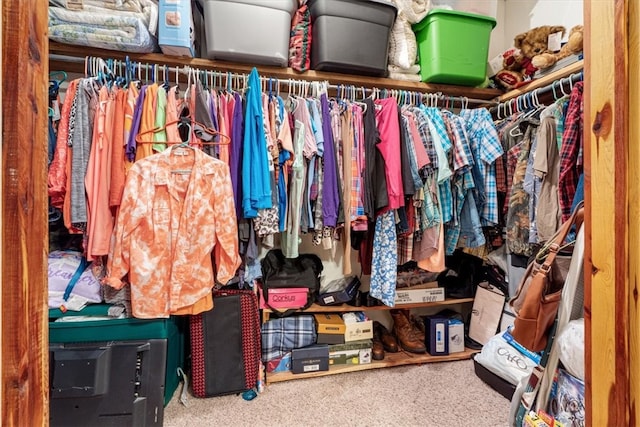 walk in closet featuring carpet flooring