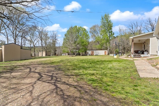 view of yard with a storage unit