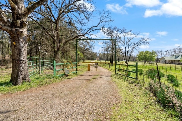 view of road with a rural view