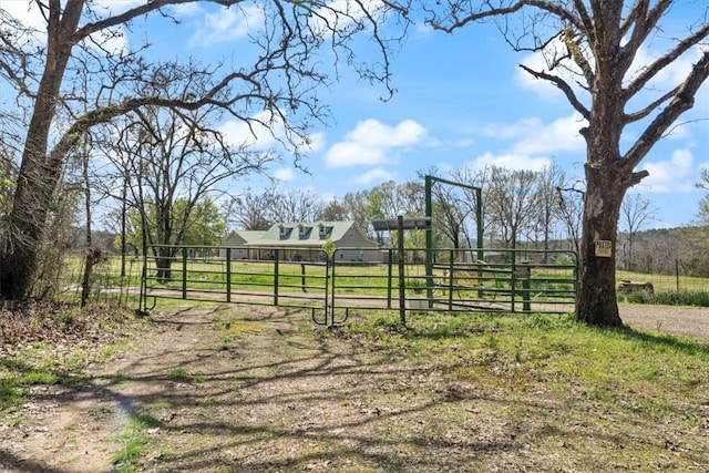 view of yard featuring a rural view