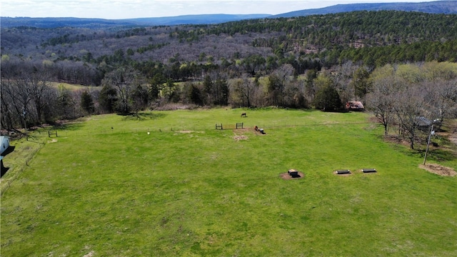 drone / aerial view with a rural view