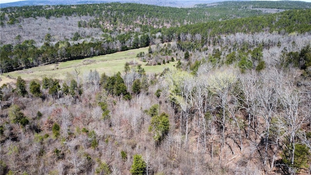 view of bird's eye view