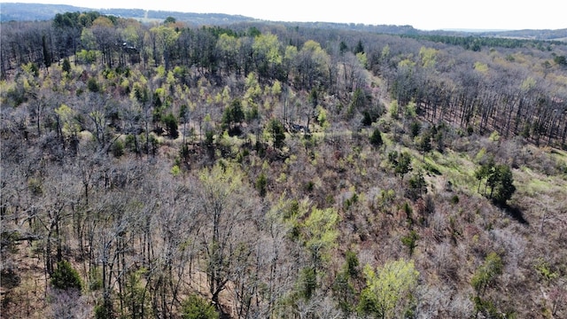 view of birds eye view of property