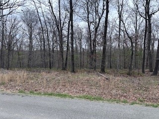 TBD Chatburn Ln, Bella Vista AR, 72715 land for sale