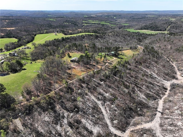 view of birds eye view of property