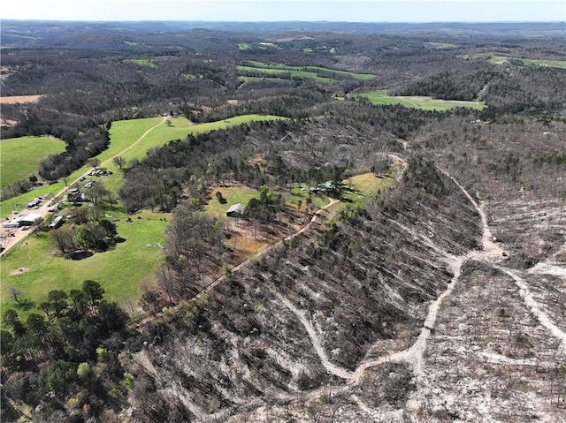 view of birds eye view of property