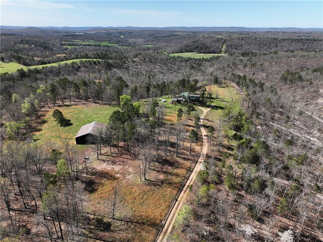 drone / aerial view featuring a rural view