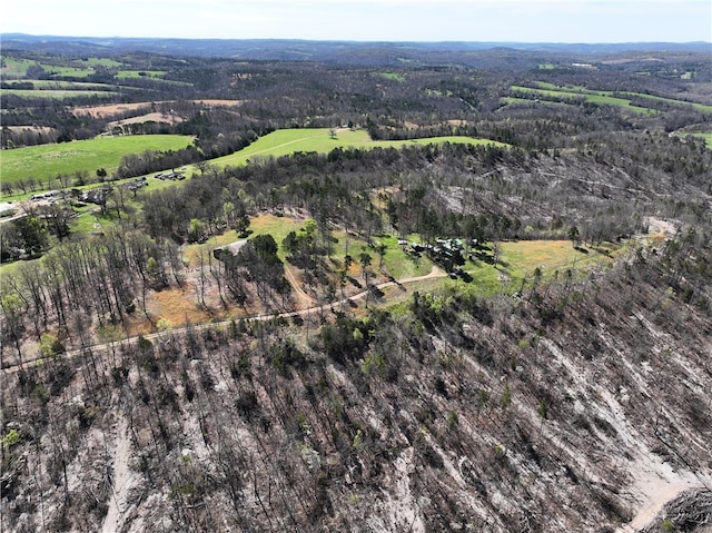 bird's eye view featuring a rural view