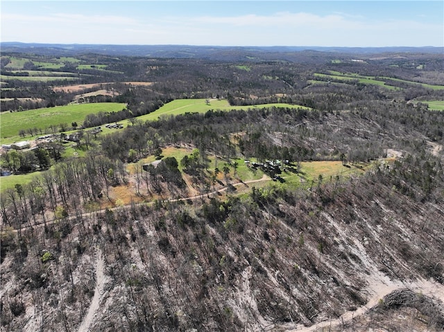 view of bird's eye view