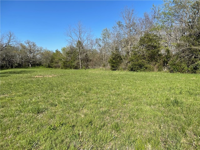 Listing photo 3 for TBD Centennial Dr, West Fork AR 72774