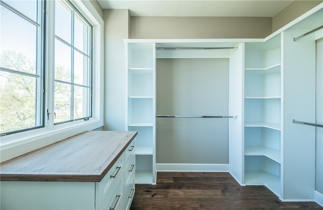 walk in closet featuring dark hardwood / wood-style floors