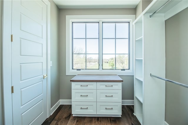 spacious closet with dark hardwood / wood-style floors