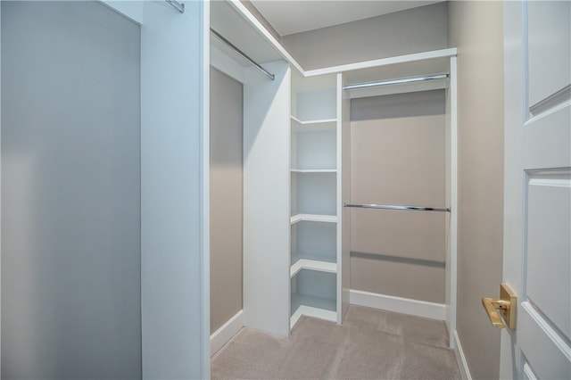 walk in closet with light carpet