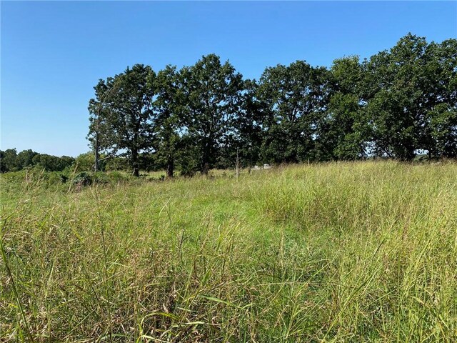 2716 S 64th St, Springdale, AR 72762 - photo 30