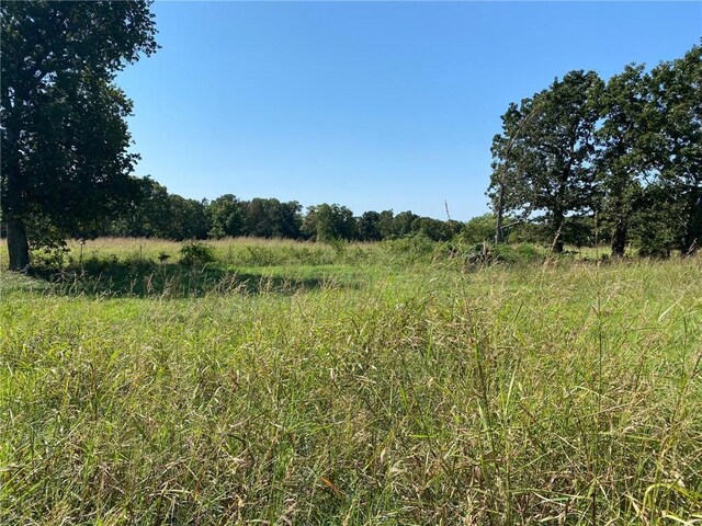 2716 S 64th St, Springdale, AR 72762 - photo 31