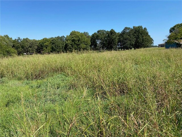2716 S 64th St, Springdale, AR 72762 - photo 33