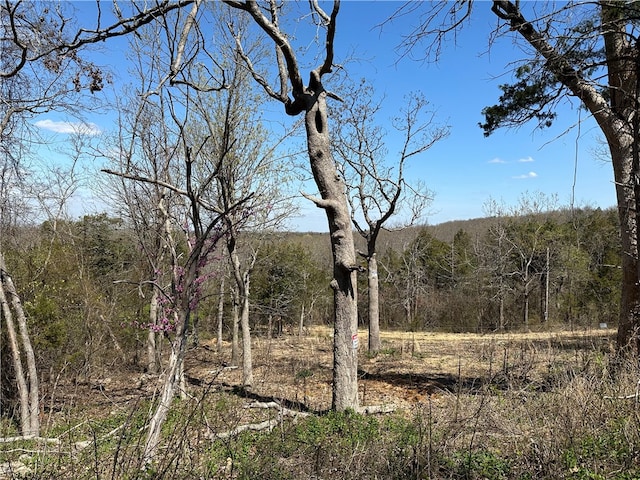 000 Miller Dr, Henderson AR, 72544 land for sale