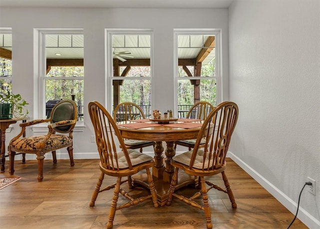 dining room with light wood-type flooring