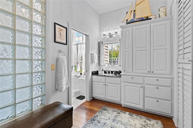 bathroom with wood-type flooring and vanity