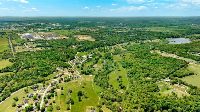 view of drone / aerial view