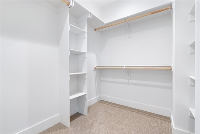 spacious closet featuring light carpet