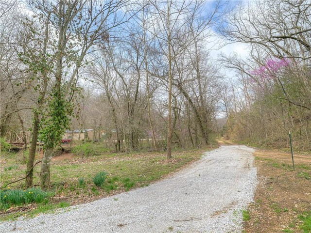 Address Not Disclosed, Anderson MO, 64831 land for sale