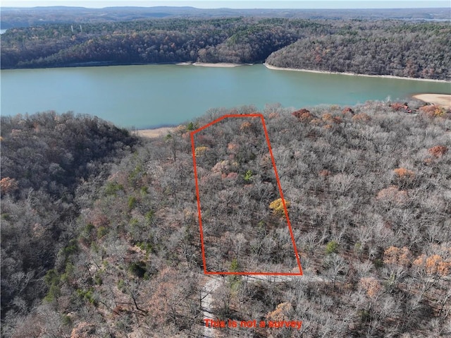 TBD Hickory Springs Road, Hindsville AR, 72738 land for sale