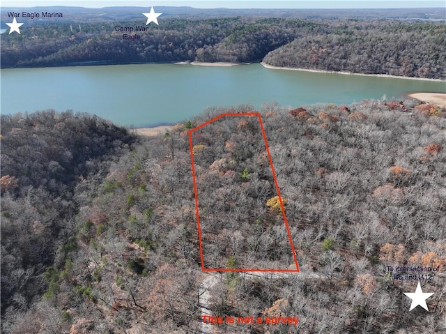 Listing photo 2 for TBD Hickory Springs Road, Hindsville AR 72738