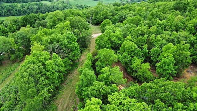 view of bird's eye view