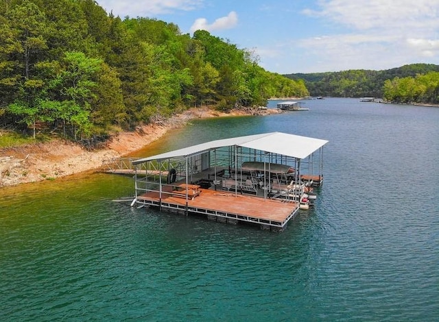 dock area with a water view