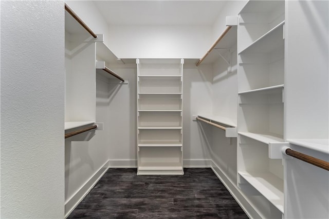 walk in closet with dark hardwood / wood-style flooring