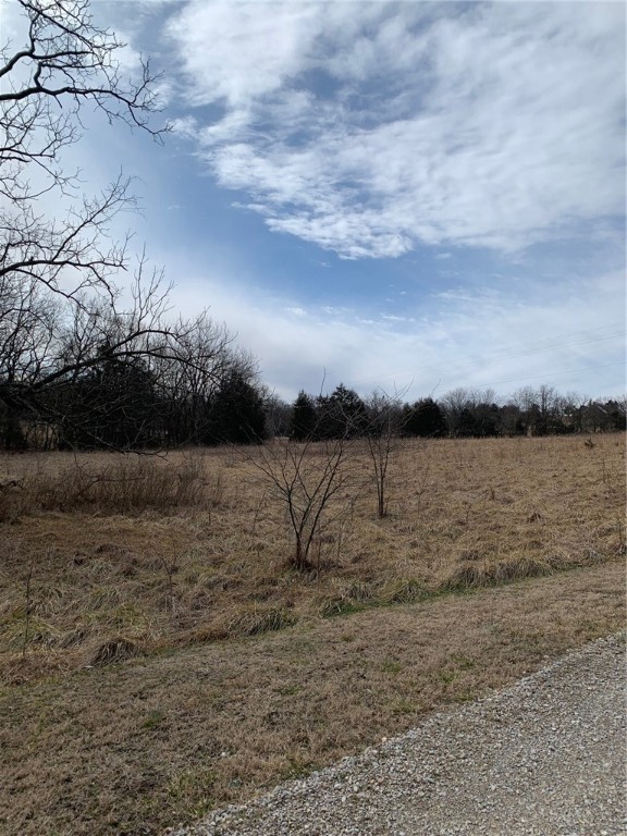 Listing photo 2 for 875-02839-000TBD Sandra, Berryville AR 72616