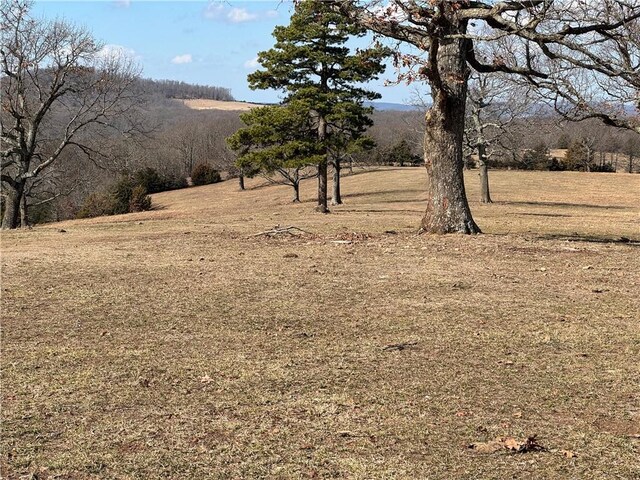 Madison Crk Unit 3377, Huntsville, AR 72740 - photo 49