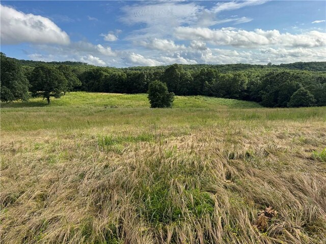 Madison Crk Unit 3377, Huntsville, AR 72740 - photo 14