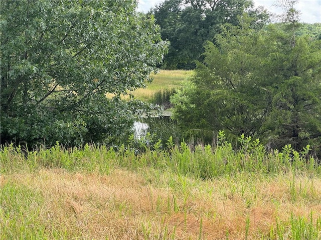 Madison Crk Unit 3377, Huntsville, AR 72740 - photo 24