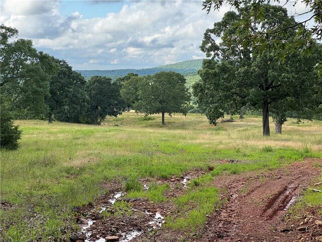 Madison Crk Unit 3377, Huntsville, AR 72740 - photo 35