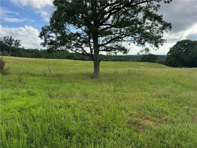 Madison Crk Unit 3377, Huntsville, AR 72740 - photo 39
