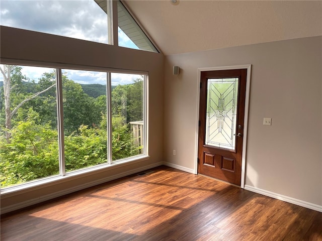 foyer featuring dark wood-type flooring and vaulted ceiling