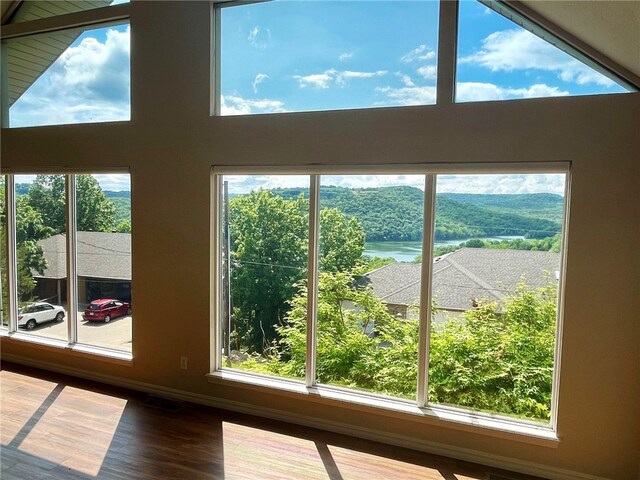 details featuring a water and mountain view and hardwood / wood-style floors