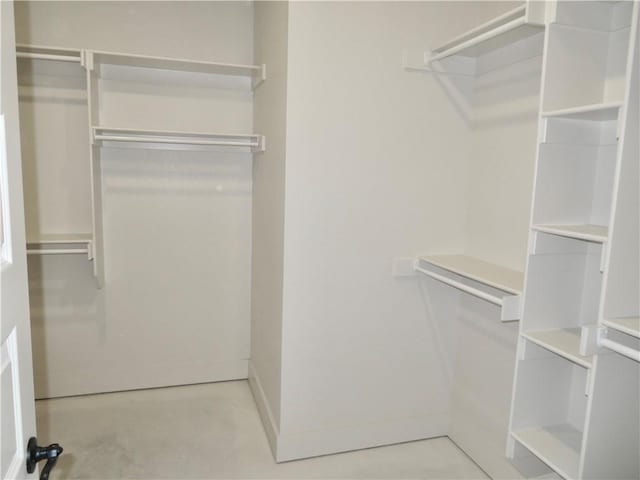 view of spacious closet