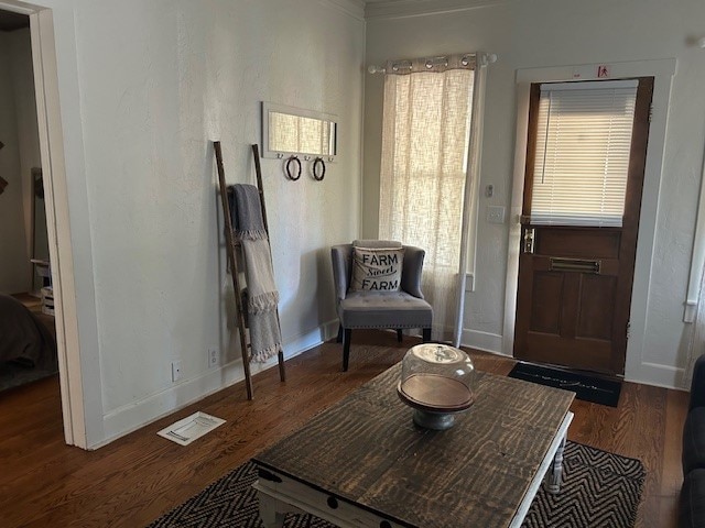 sitting room featuring dark hardwood / wood-style floors