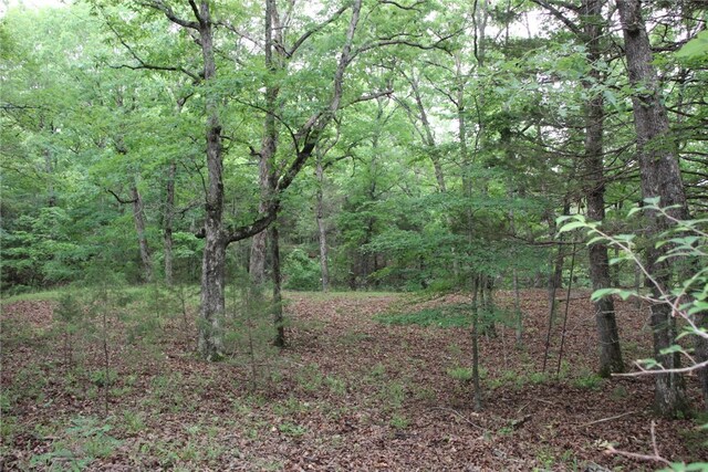 001-05594-000 Mc 8012, Yellville, AR 72687 - photo 1